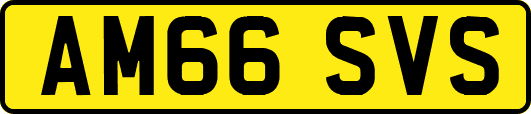 AM66SVS