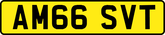 AM66SVT