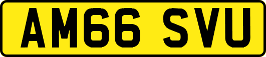 AM66SVU