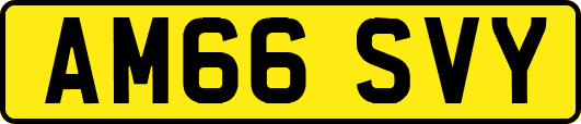 AM66SVY