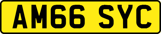 AM66SYC