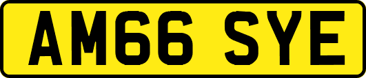 AM66SYE
