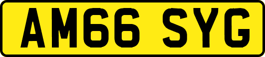 AM66SYG