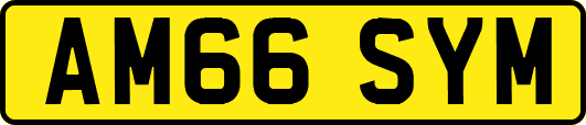 AM66SYM