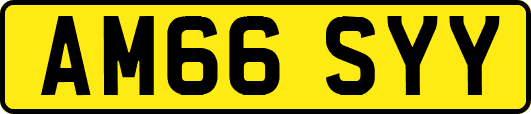AM66SYY