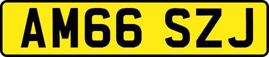 AM66SZJ