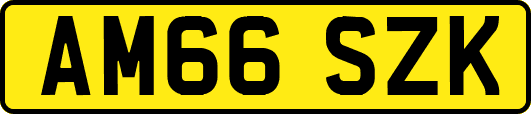 AM66SZK