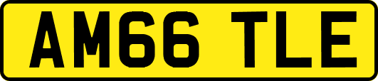 AM66TLE