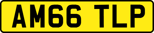 AM66TLP