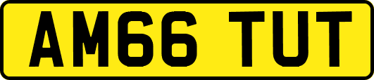 AM66TUT