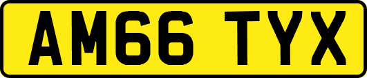 AM66TYX