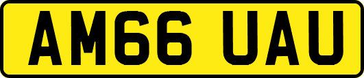 AM66UAU