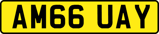 AM66UAY
