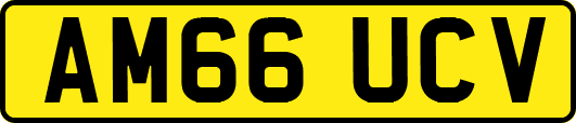 AM66UCV