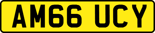 AM66UCY