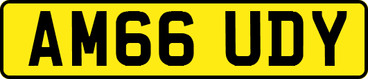 AM66UDY