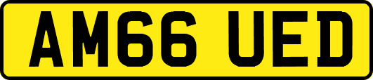 AM66UED