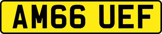 AM66UEF