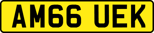 AM66UEK