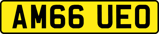 AM66UEO