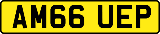 AM66UEP