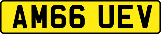 AM66UEV