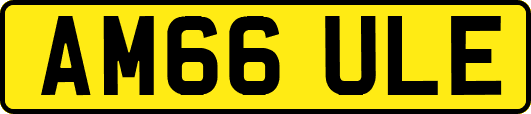 AM66ULE