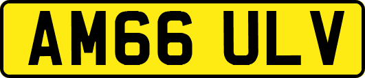 AM66ULV
