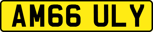 AM66ULY