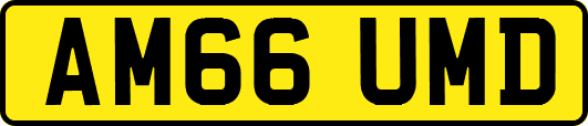 AM66UMD