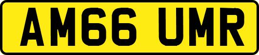 AM66UMR