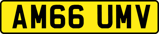 AM66UMV