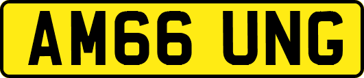 AM66UNG