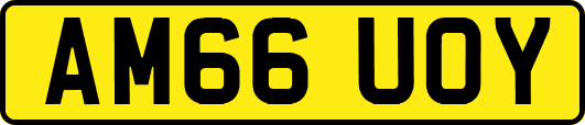AM66UOY