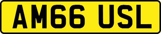 AM66USL