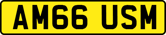 AM66USM