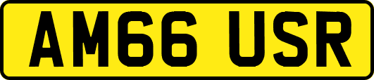 AM66USR