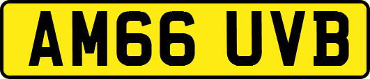 AM66UVB
