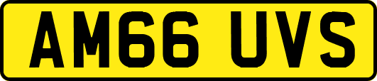 AM66UVS
