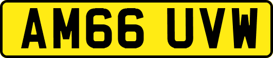 AM66UVW