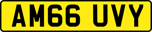 AM66UVY