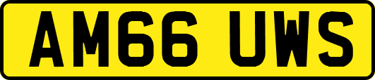 AM66UWS
