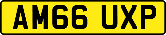 AM66UXP