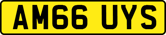 AM66UYS