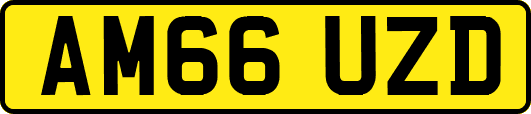 AM66UZD