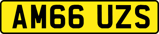 AM66UZS