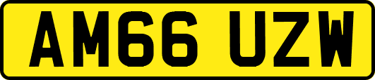 AM66UZW