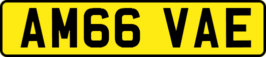 AM66VAE