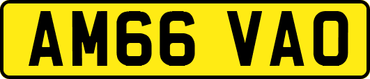 AM66VAO