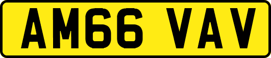 AM66VAV